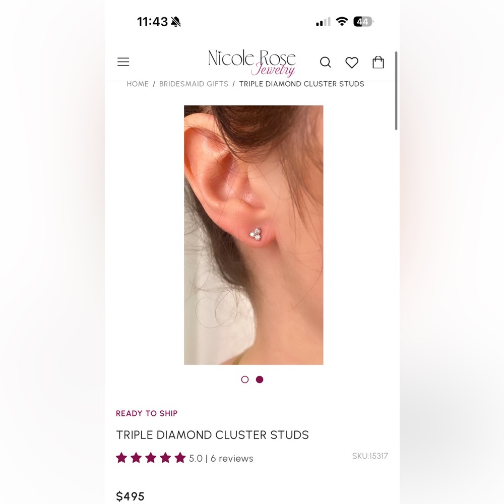 Nicole Rose Silver Crystal Earrings - Picture 4 of 4